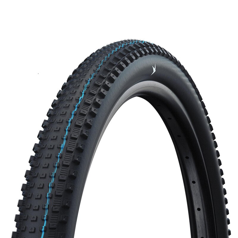 SCHWALBE Plášť RICK XC PRO (62-622) 29x2.40 Evolution 67EPI 760g Černý TLR SpeedGrip